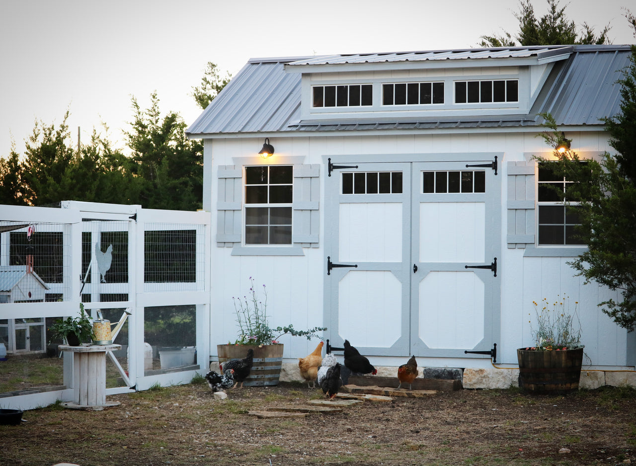 Innovative Ideas For Repurposing Your Shed